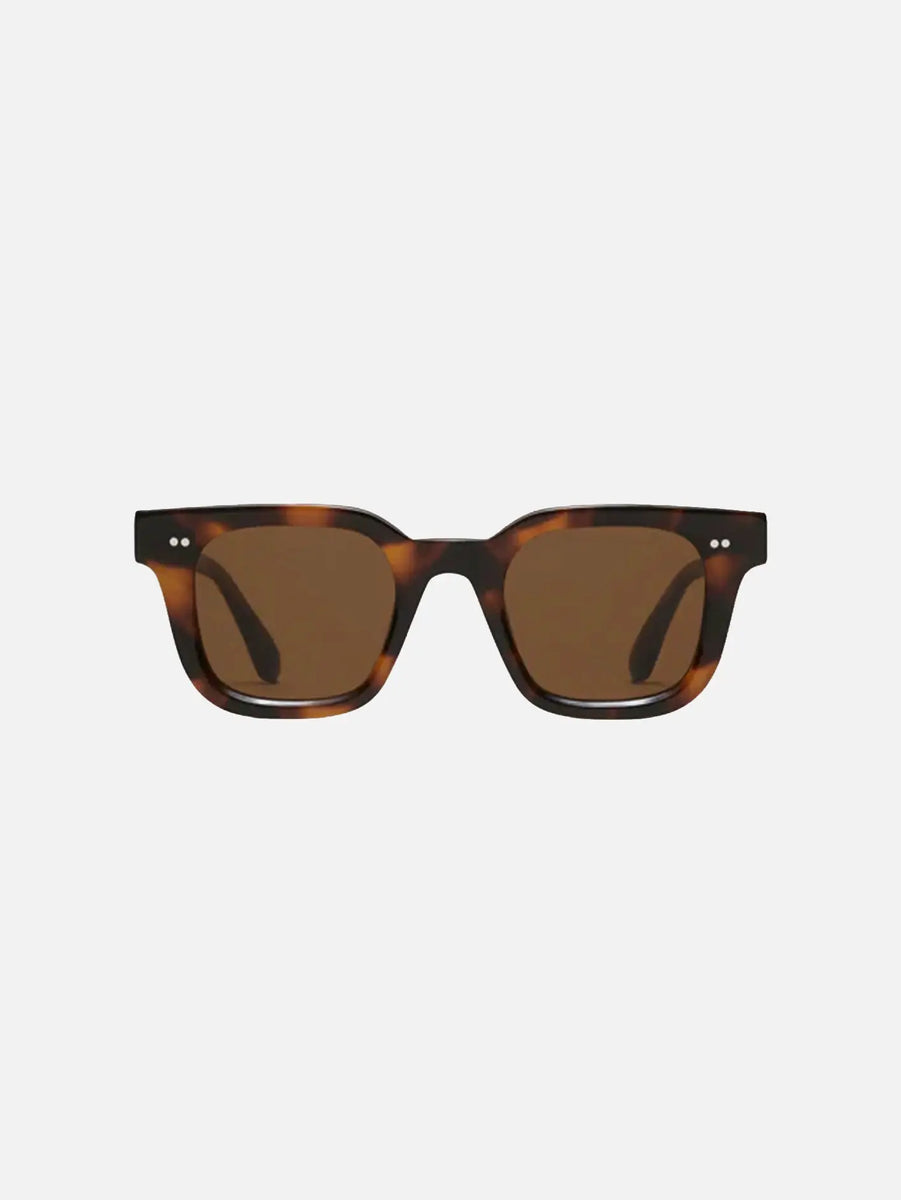 04 Tortoise