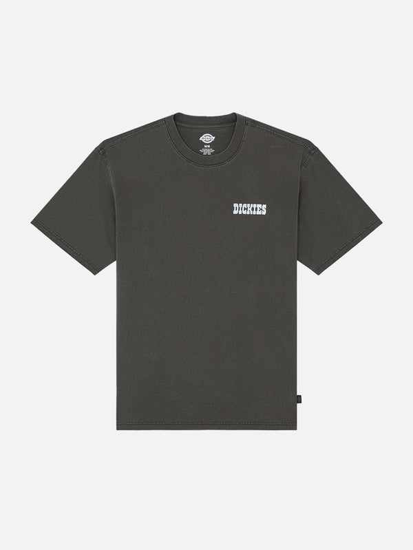 DICKIES, Buchtell SS Tee - Black, T-SHIRT, shopi go'da!
