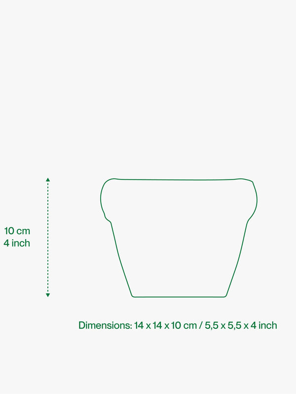 HOME STUDYO, Louis - Bone Matte, SAKSI, shopi go'da!