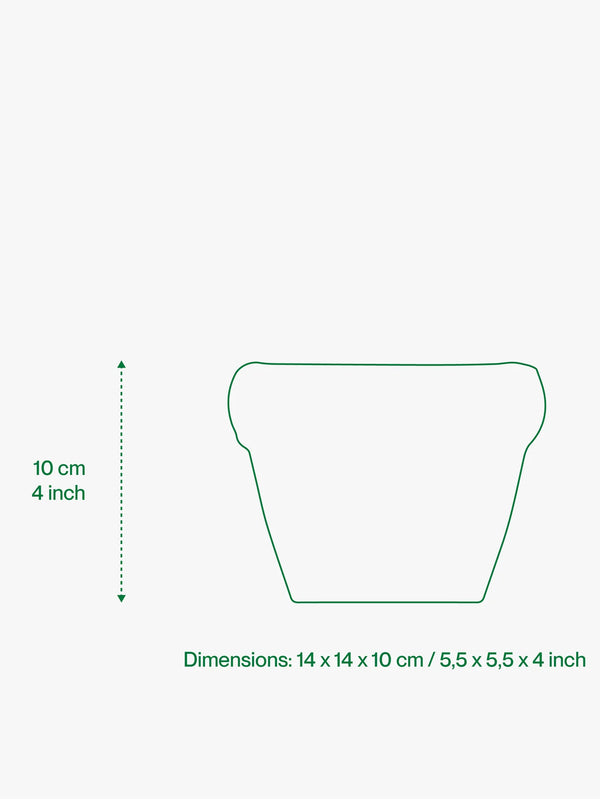 HOME STUDYO, Louis - Sky Matte, SAKSI, shopi go'da!