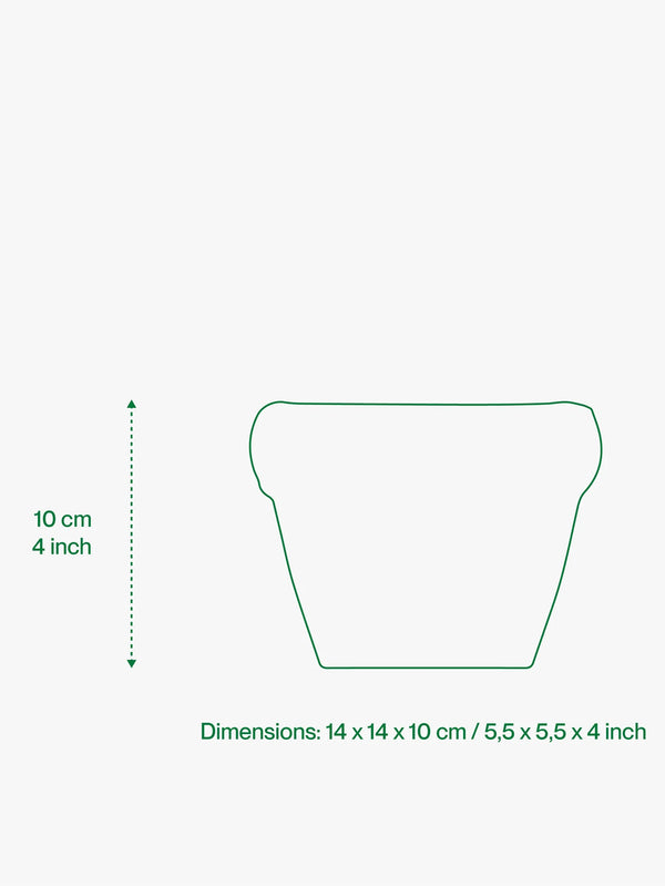 HOME STUDYO, Louis - Yolk Matte, SAKSI, shopi go'da!
