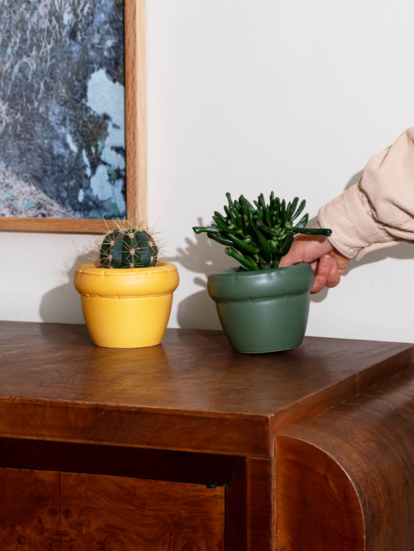 HOME STUDYO, Louis - Yolk Matte, SAKSI, shopi go'da!