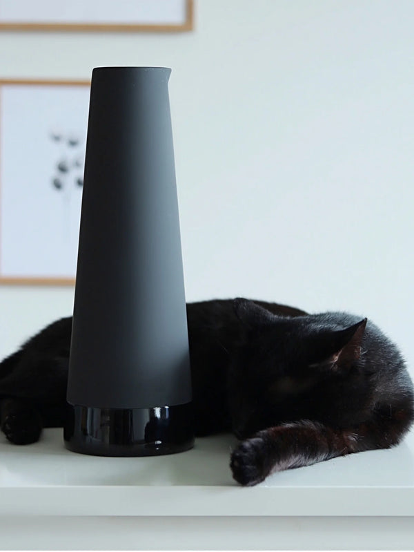 MAGISSO, Carafe, SOĞUTUCU, shopi go'da!