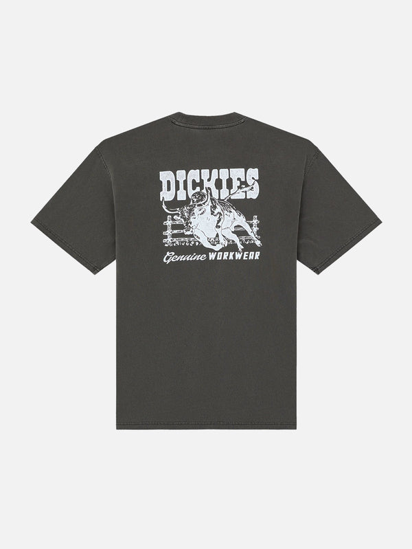 DICKIES, Buchtell SS Tee - Black, T-SHIRT, shopi go'da!