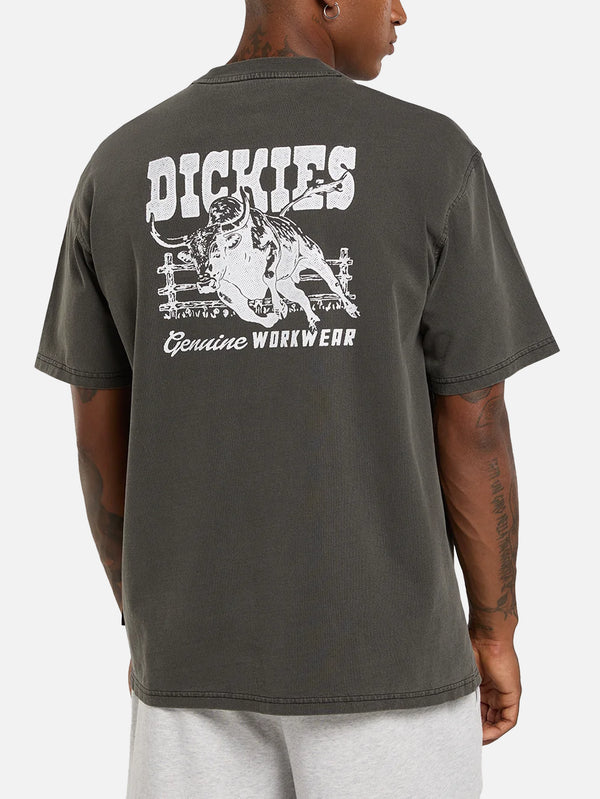 DICKIES, Buchtell SS Tee - Black, T-SHIRT, shopi go'da!