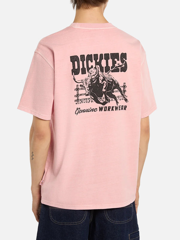DICKIES, Buchtell SS Tee - Bridal Rose, T-SHIRT, shopi go'da!