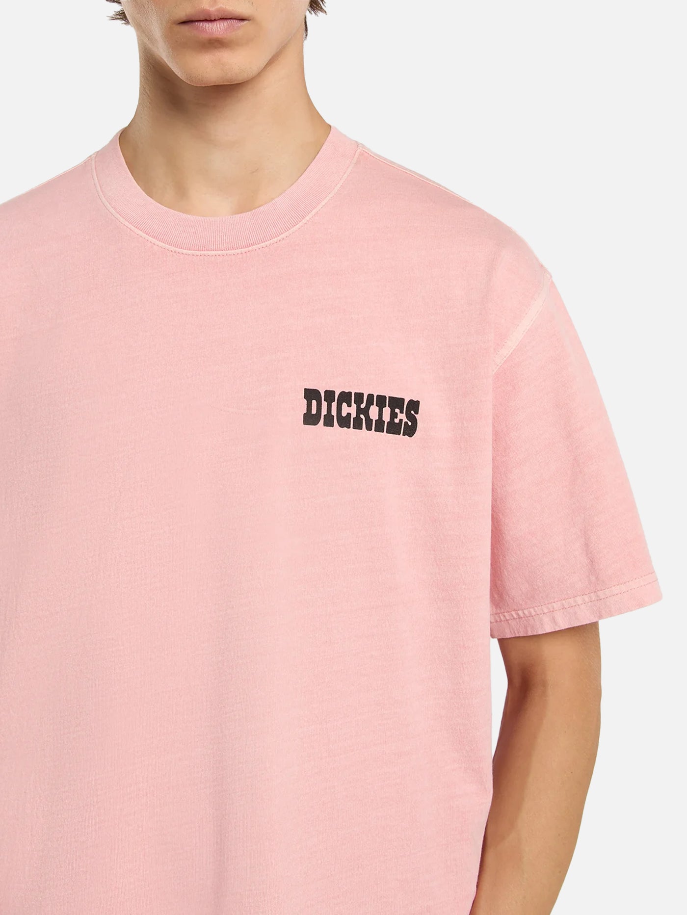 Buchtell SS Tee - Bridal Rose – shopi go