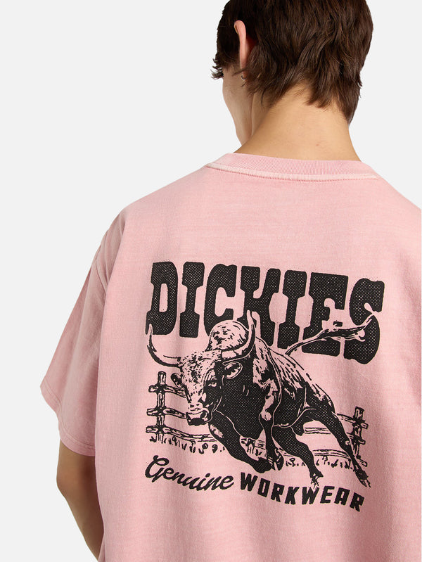 DICKIES, Buchtell SS Tee - Bridal Rose, T-SHIRT, shopi go'da!