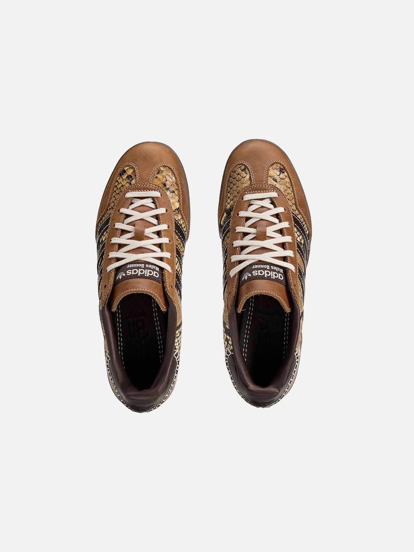 ADIDAS ORIGINALS Wales Bonner x adidas Gazelle Snake Supplier