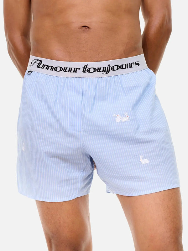 CARNE BOLLENTE Follow the Rabbit - Blue Stripe - Kategorize edilmemiş BOXER