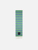 Striped Scarf - Green Stripes