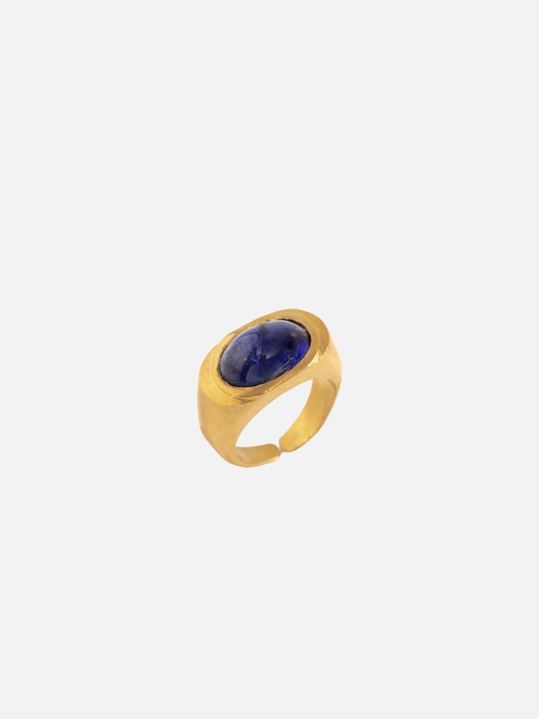HESPERIDES - YÜZÜK - Roman Signet Ring - Iolite - Gold - shopi go'da!.