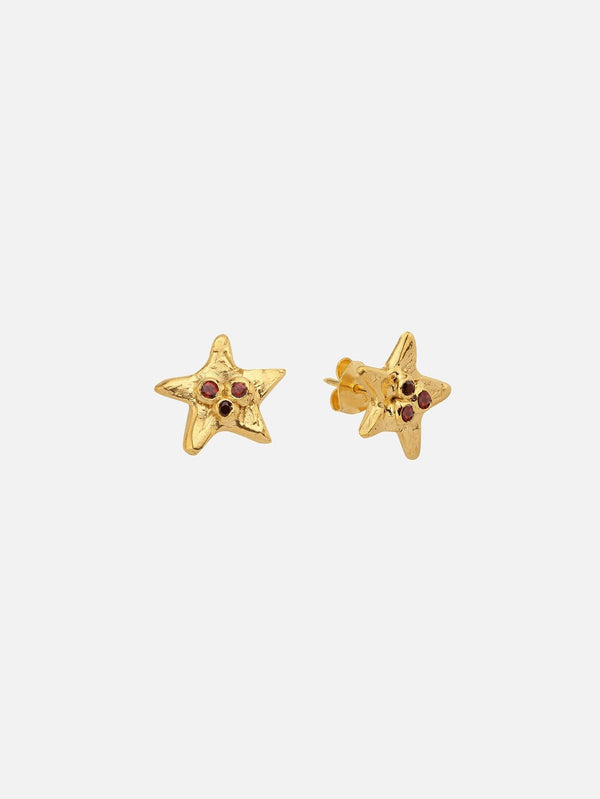 JEWELS FOR JOY - KÜPE - Lal Taşlı Altın Kaplama Gümüş Yıldız Küpe - shopi go'da!.