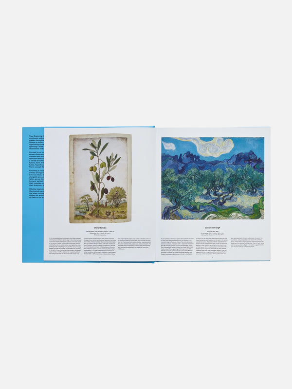 PHAIDON - KİTAP - Tree: Exploring the Arboreal World - shopi go'da!.