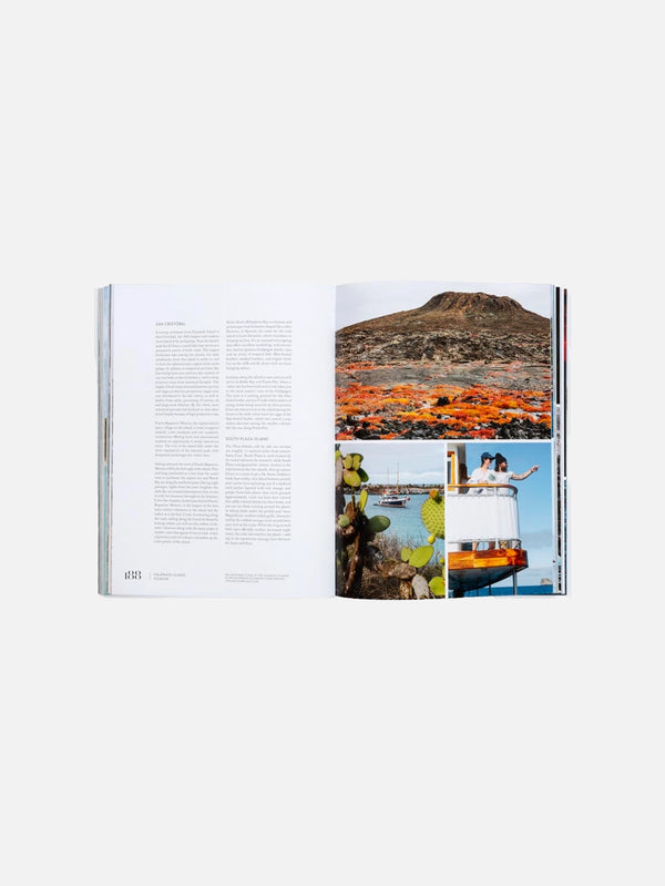 RIZZOLI - KİTAP - The Irish Country House: A New Vision - shopi go'da!.