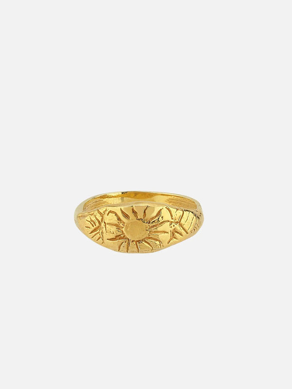 JEWELS FOR JOY Solis Ring – altın, üstten görünüm