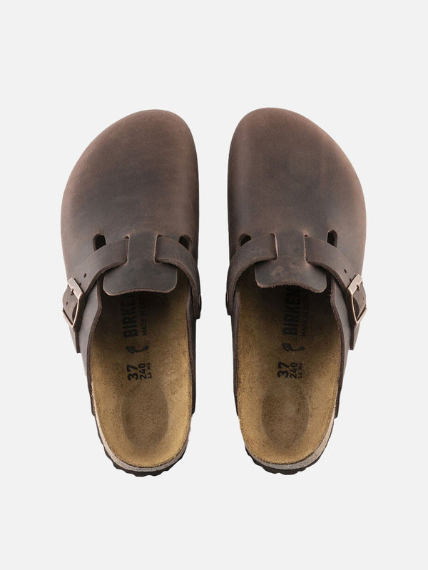 Boston Oiled - shopi go