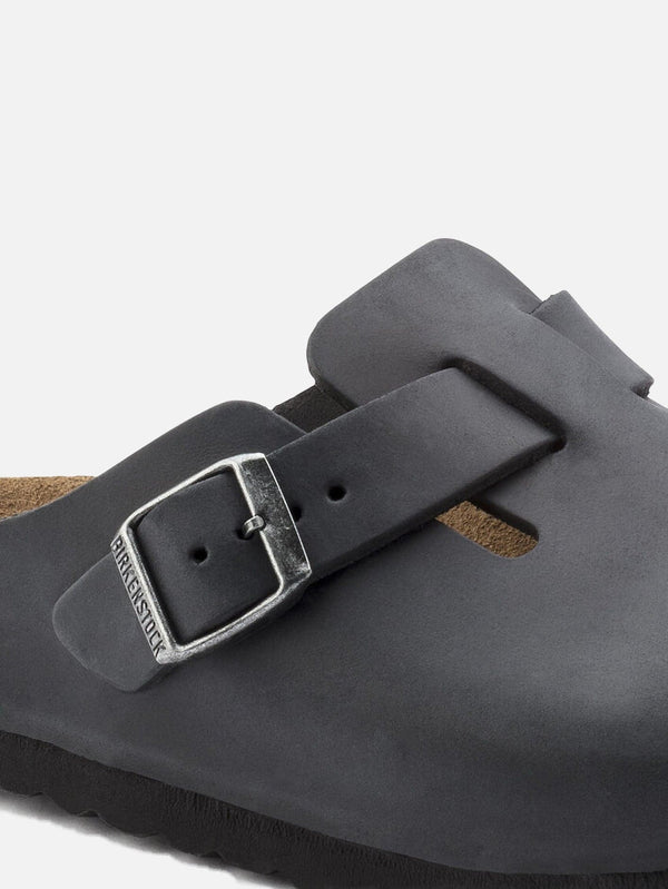 Boston Oiled - shopi go